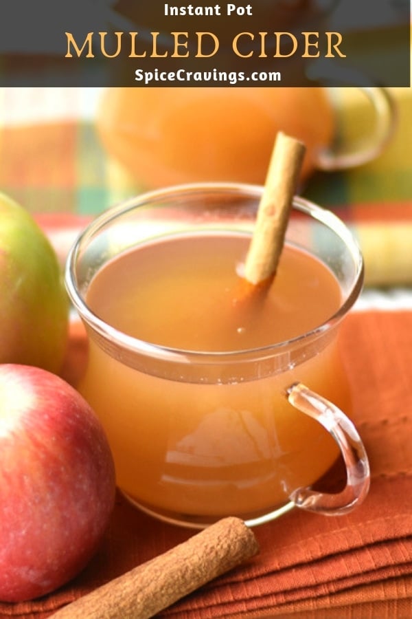 easy apple cider in glass mug with cinnamon stick