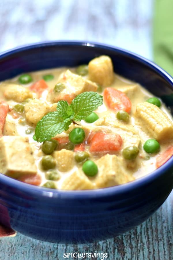 Thai green curry with vegetables garnished with mint leaves