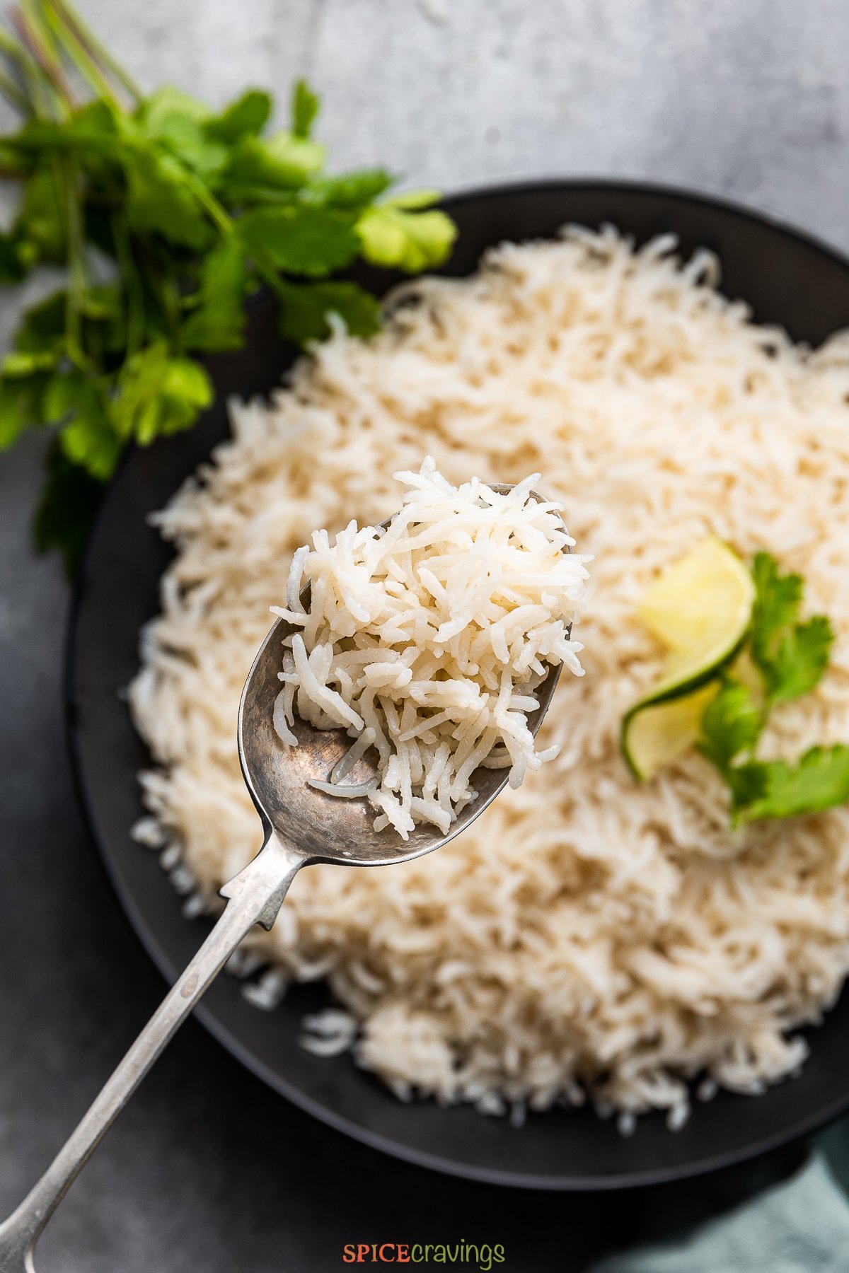spoonful of instant pot coconut rice over bowl of coconut rice