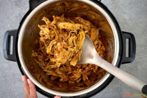 ladle of shredded chicken with salsa