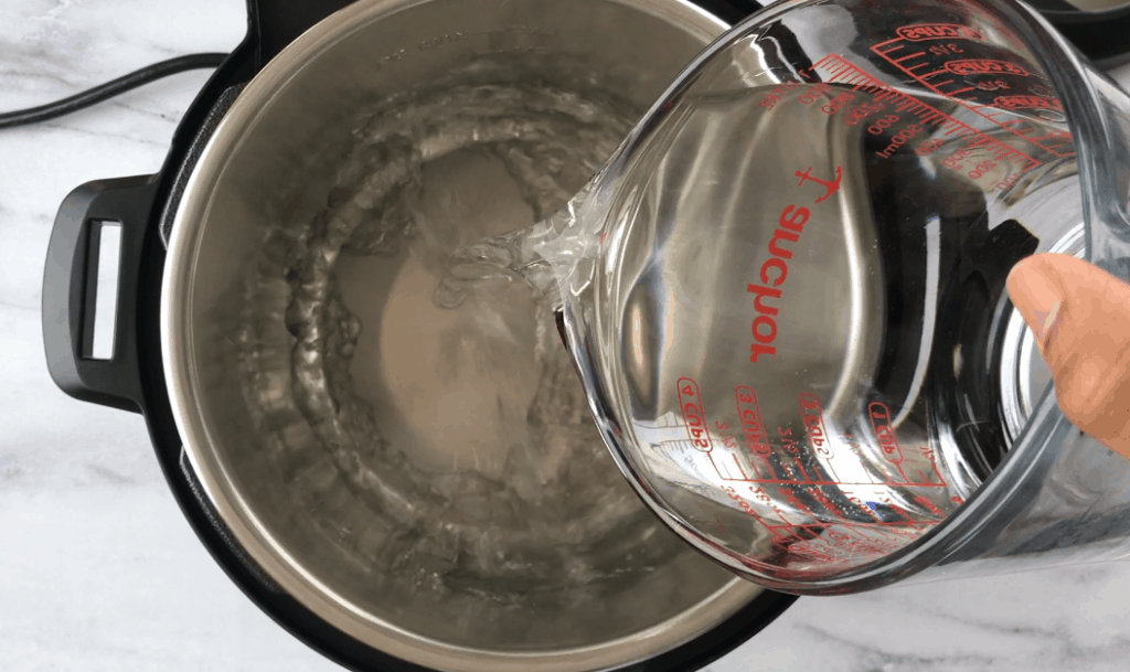 Instant Pot Water Test by Spice Cravings