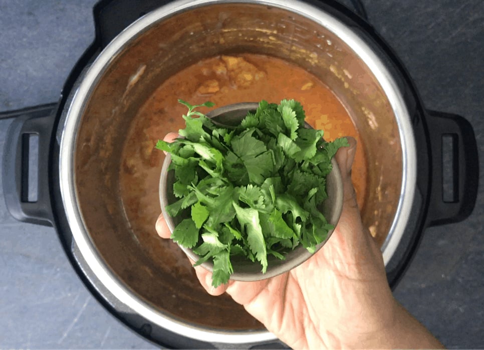 Adding fresh cilantro to chicken curry