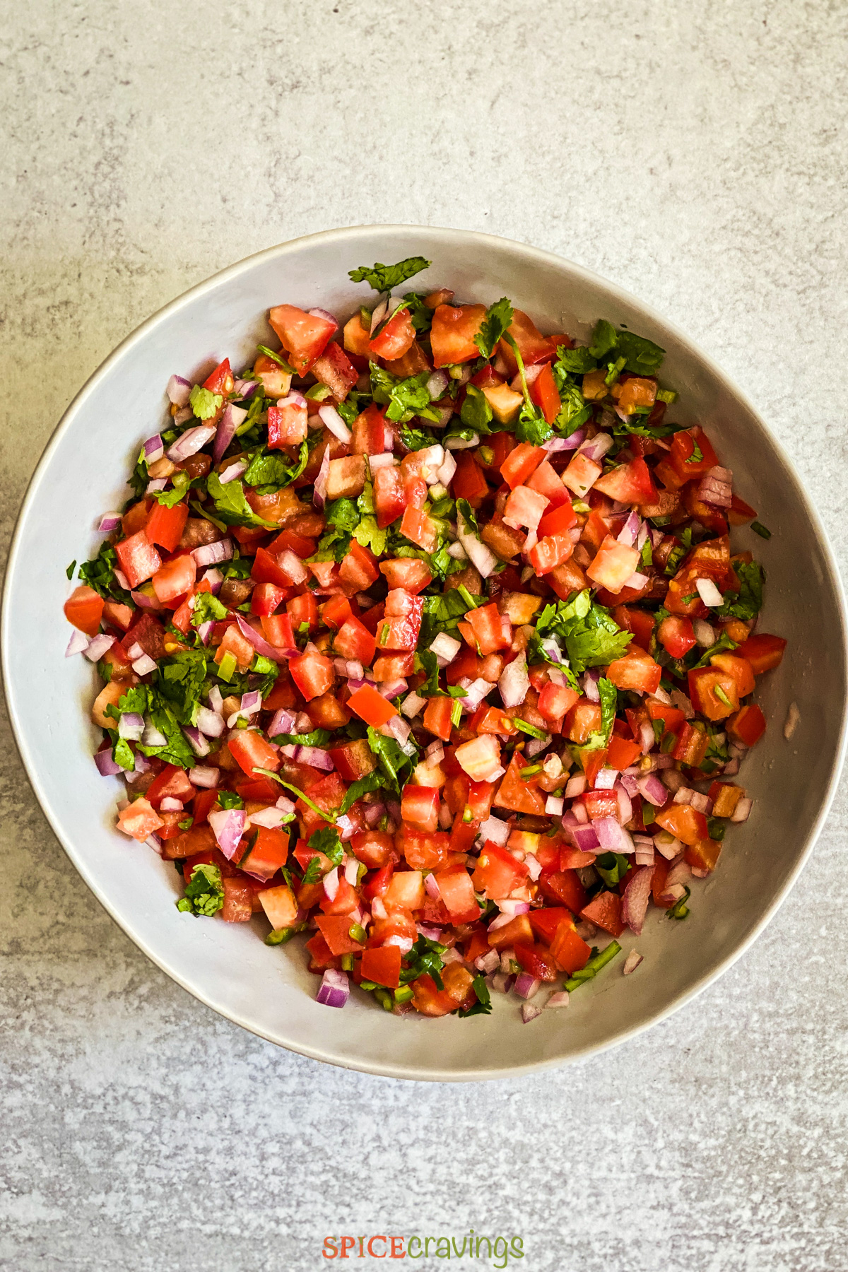 Bowl of salsa fresca (tomato salsa)