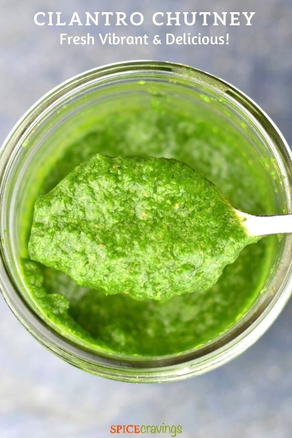 A spoon full of vibrant green cilantro chutney