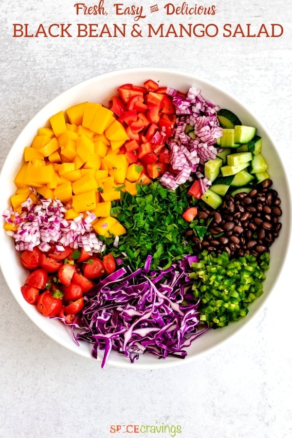 diced mango, red pepper, onion, cucumbers, jalapeno, red cabbage, tomatoes, cilantro, black beans in white bowl