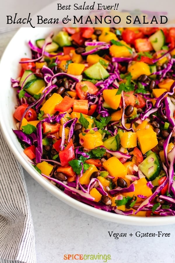 mango and black bean salad with fresh vegetables in white bowl