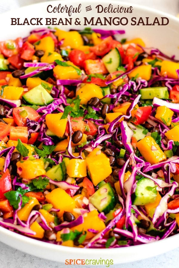 mango and black bean salad with fresh vegetables tossed in lime dressing in white bowl