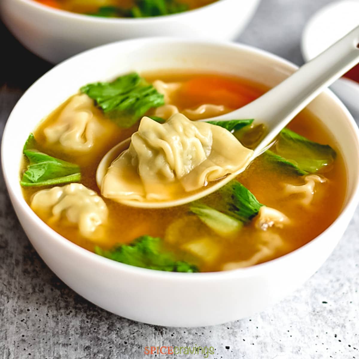 Easy Chicken Wonton Soup - Instant Pot & Stove - Spice Cravings
