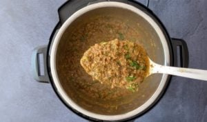 spoonful of keema curry recipe over instant pot