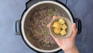 ginger and garlic cubes in small bowl over instant pot