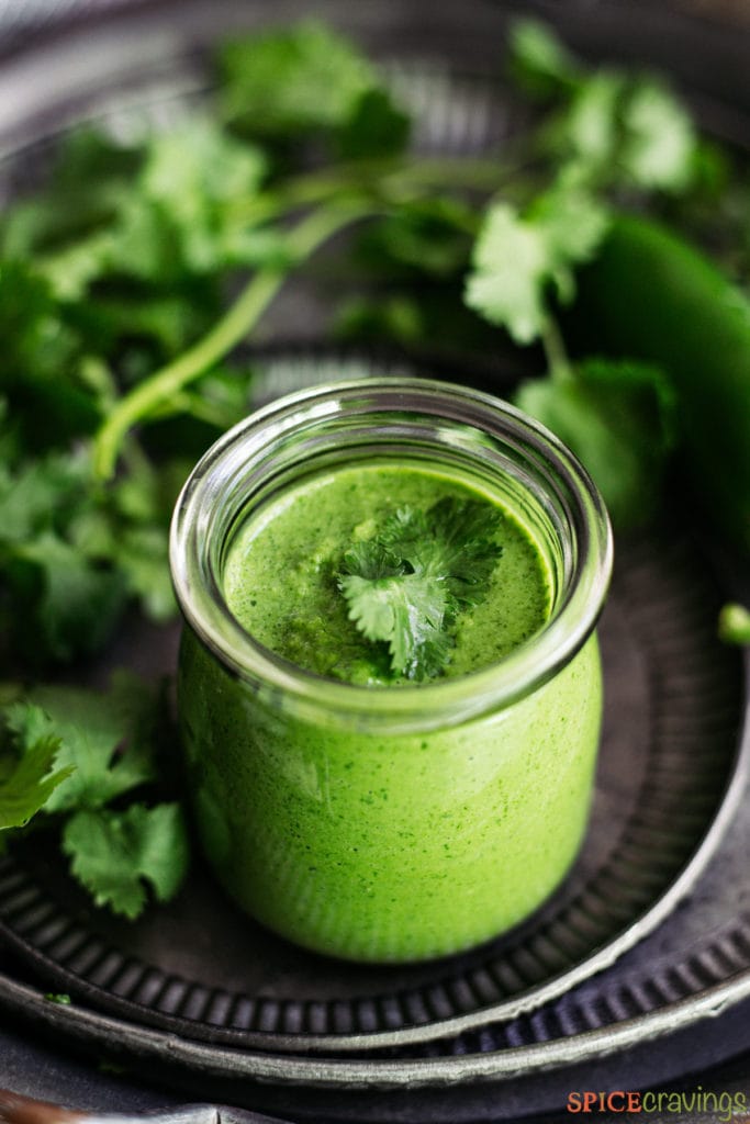 cilantro sauce in glass jar with cilantro sprigs in backgroud
