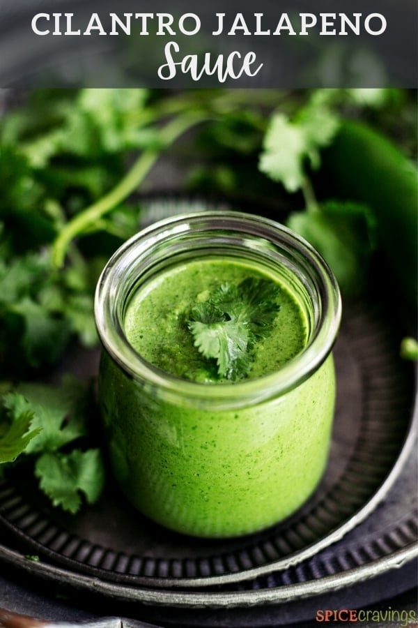 cilantro sauce in glass jar with cilantro sprigs in backgroud