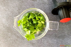 fresh cilantro in blender