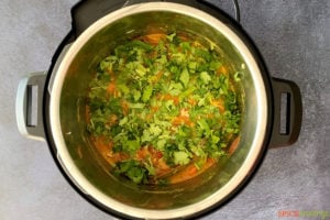 herbs, rice and water in instant pot