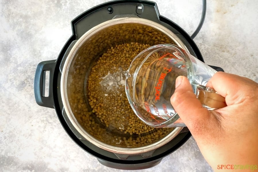 Instant Pot Lentils (Soak or NoSoak) Spice Cravings