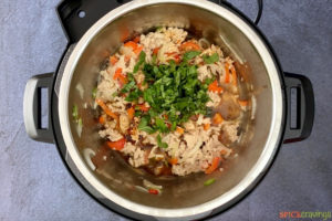 Ingredients for Thai basil chicken in an Instant Pot