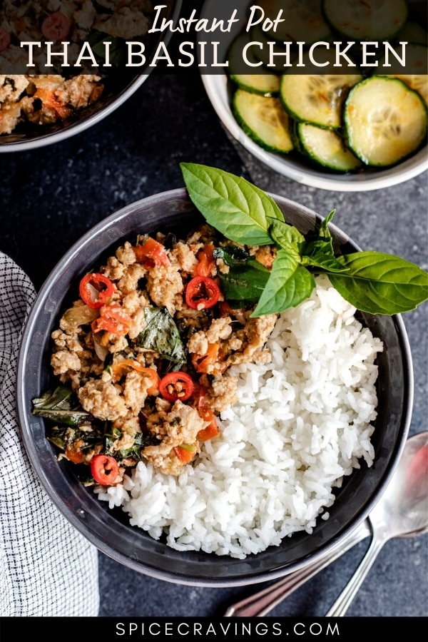 A bowl of Thai Basil Chicken with a serving of rice