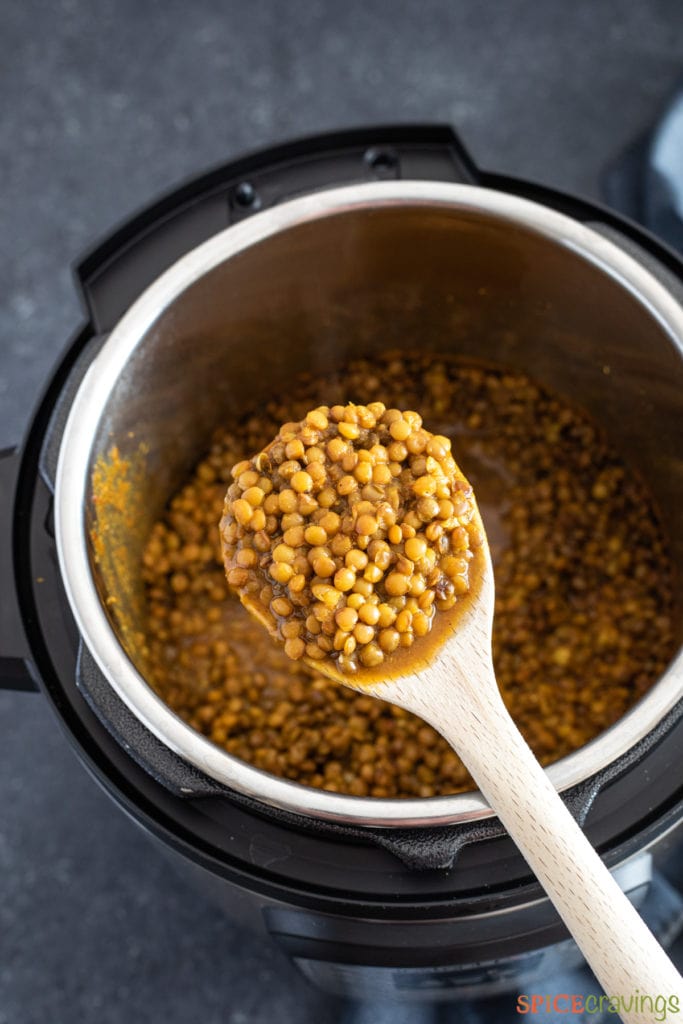Ladle with cooked lentils over an instant pot