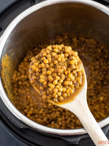 ladle of cooked lentils over an instant pot