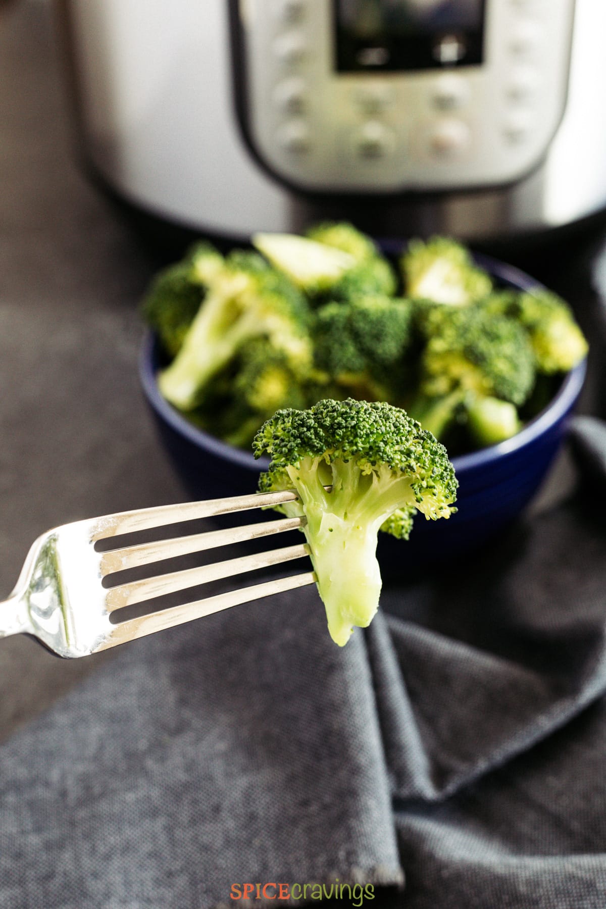 A fork with a piece of pressure cooker steamed broccoli