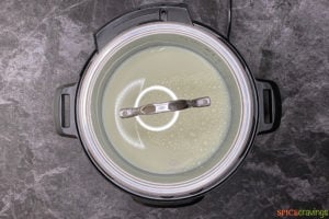 A lid on top of the Instant Pot