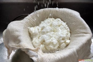 Rinsing cheese in a cheesecloth