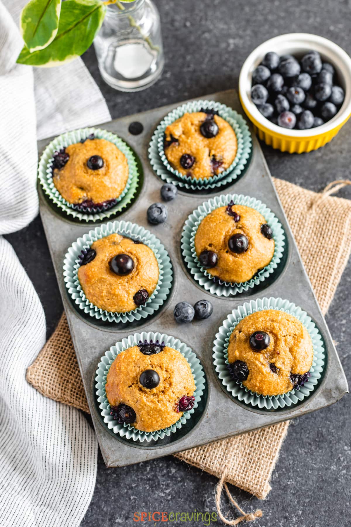 blueberry muffins in light blue liner in metal baking pan