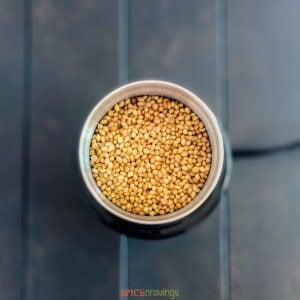 coriander seeds in spice grinder