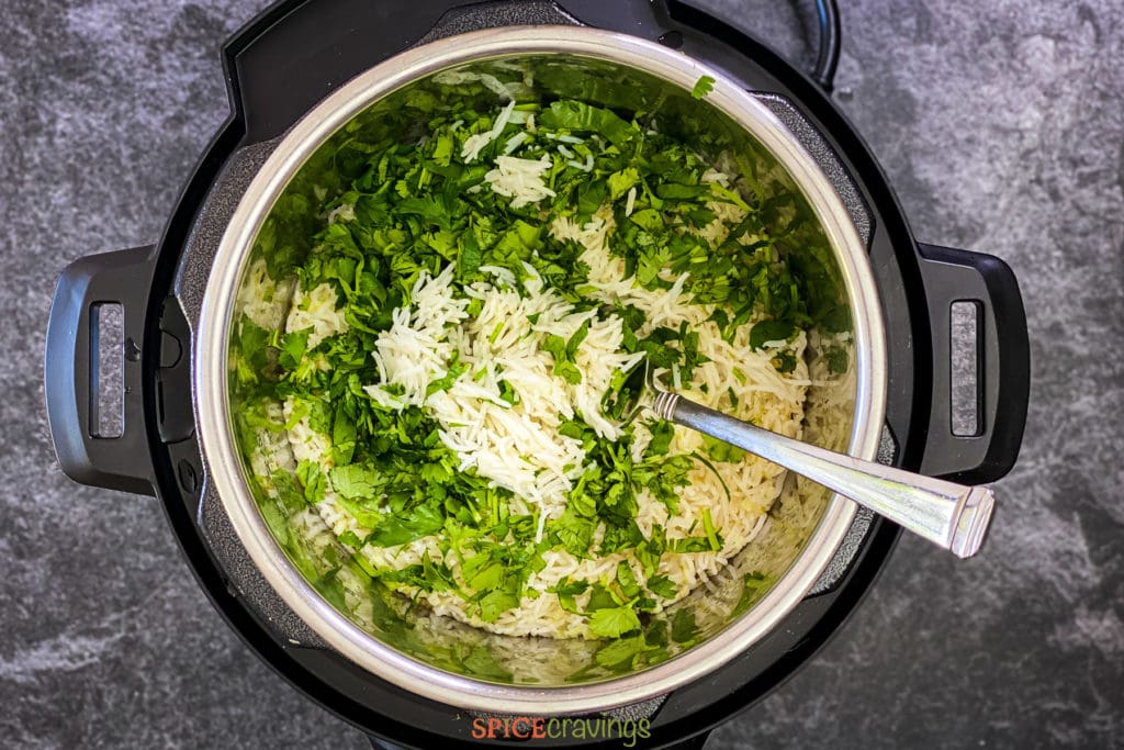 Rice topped with cilantro in Instant Pot