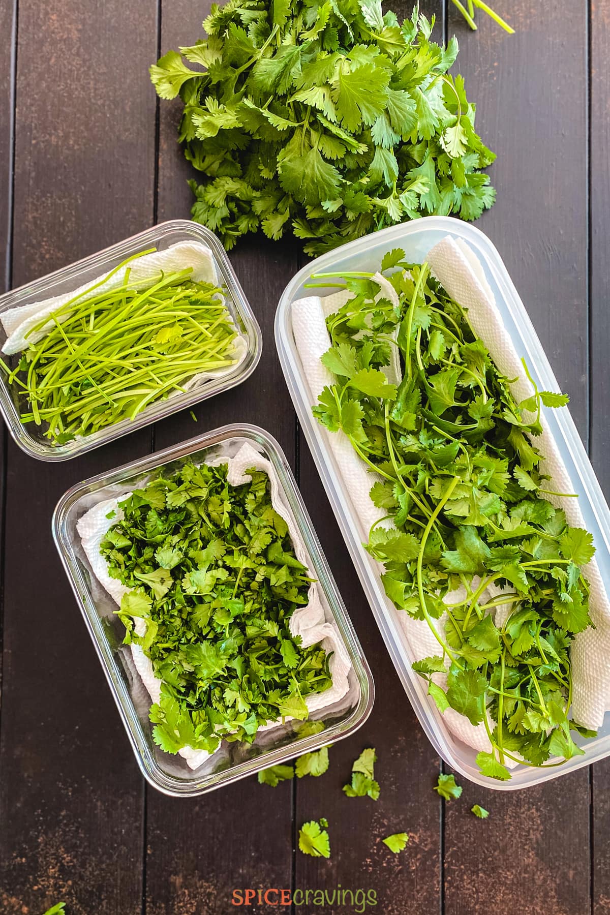 whole, chopped and stems of cilantro in containers