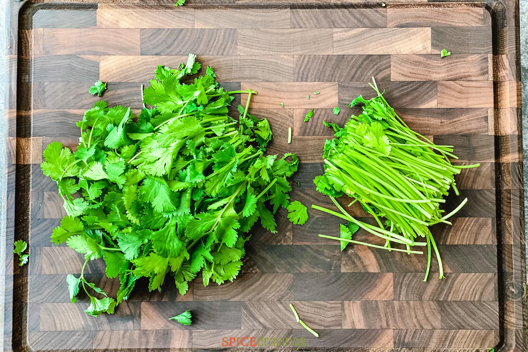 stems cut off of cilantro leaves on cutting board