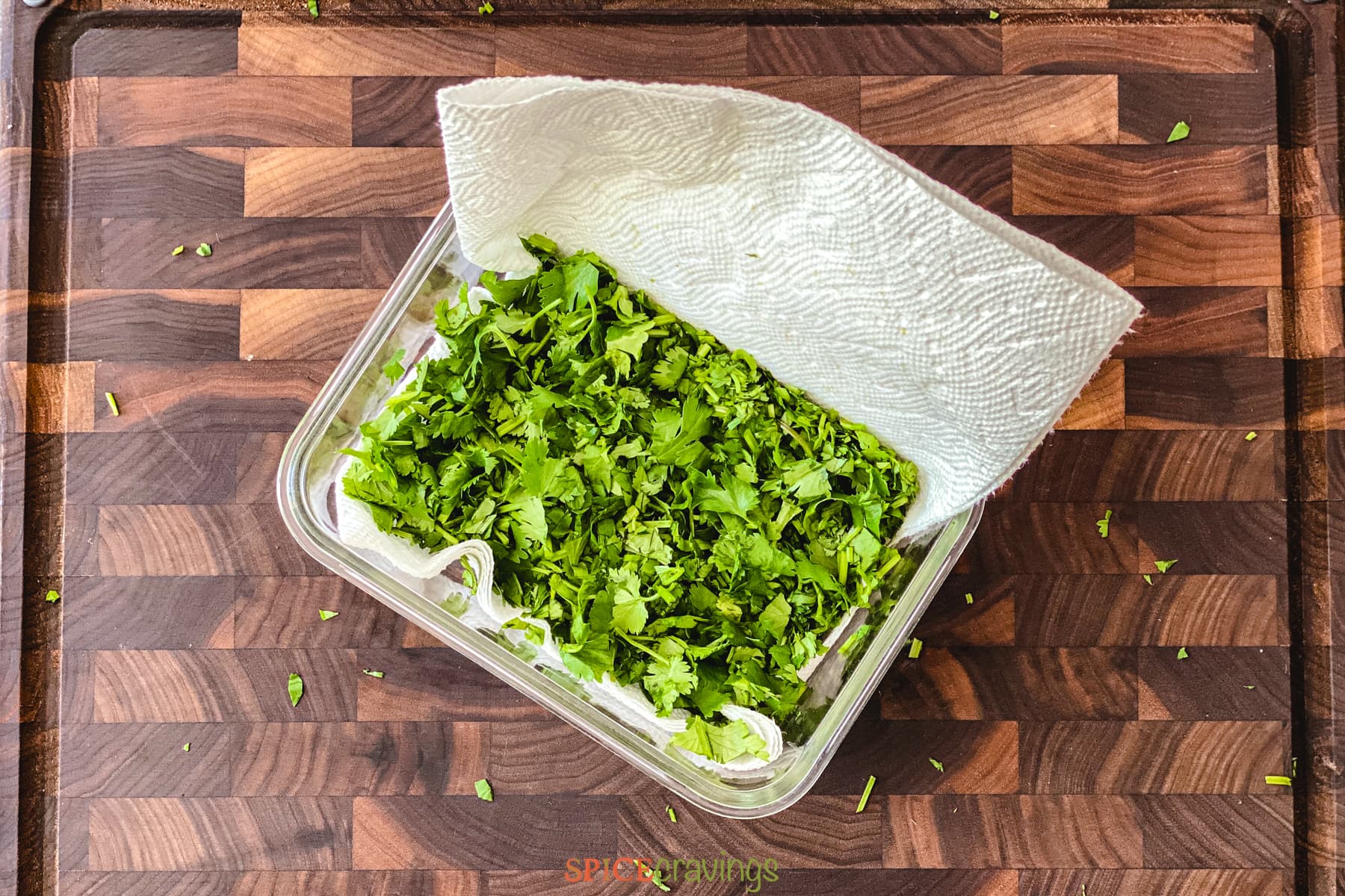 chopped cilantro wrapped in paper towel in container
