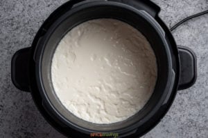 Yogurt set in the instant pot