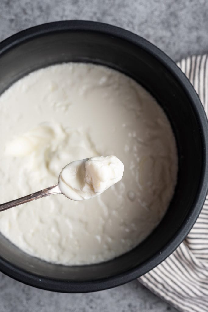 Spoon full of yogurt from the instant pot