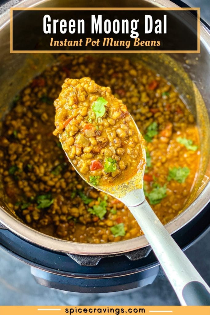 large spoonful of green moong dal from instant pot
