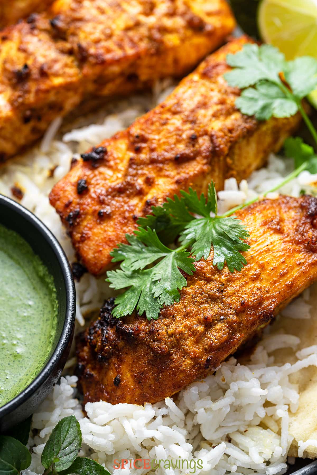 close up of indian salmon recipe over a bed of rice