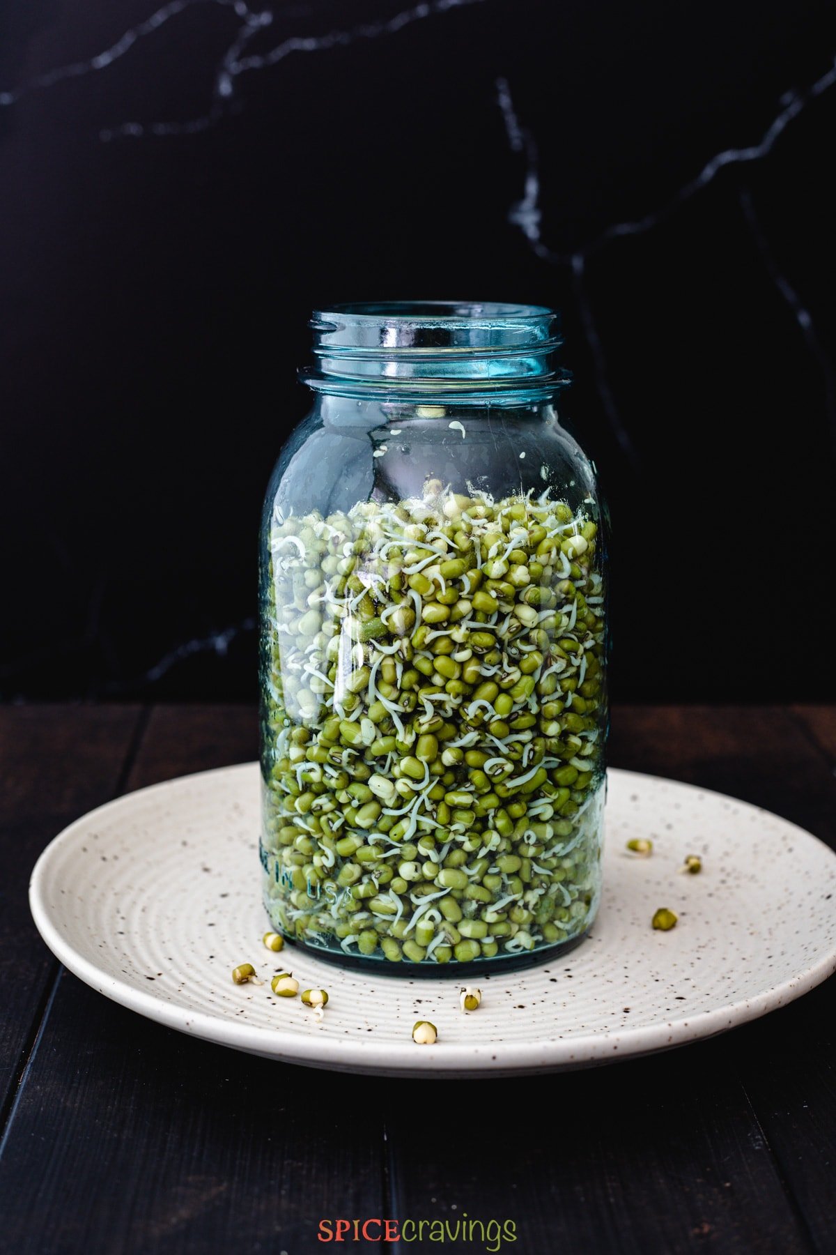 sprouting lentils in mason jar