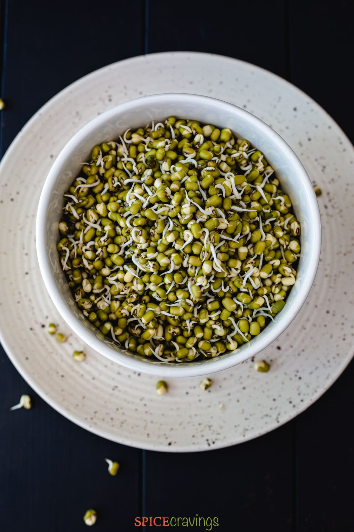 sprouted lentils in white bowl on plate