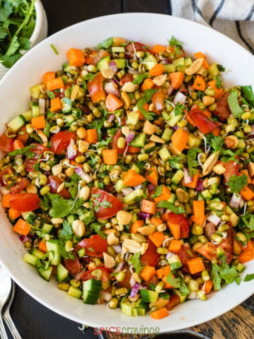 sprouted moong bean salad recipe in large white bowl
