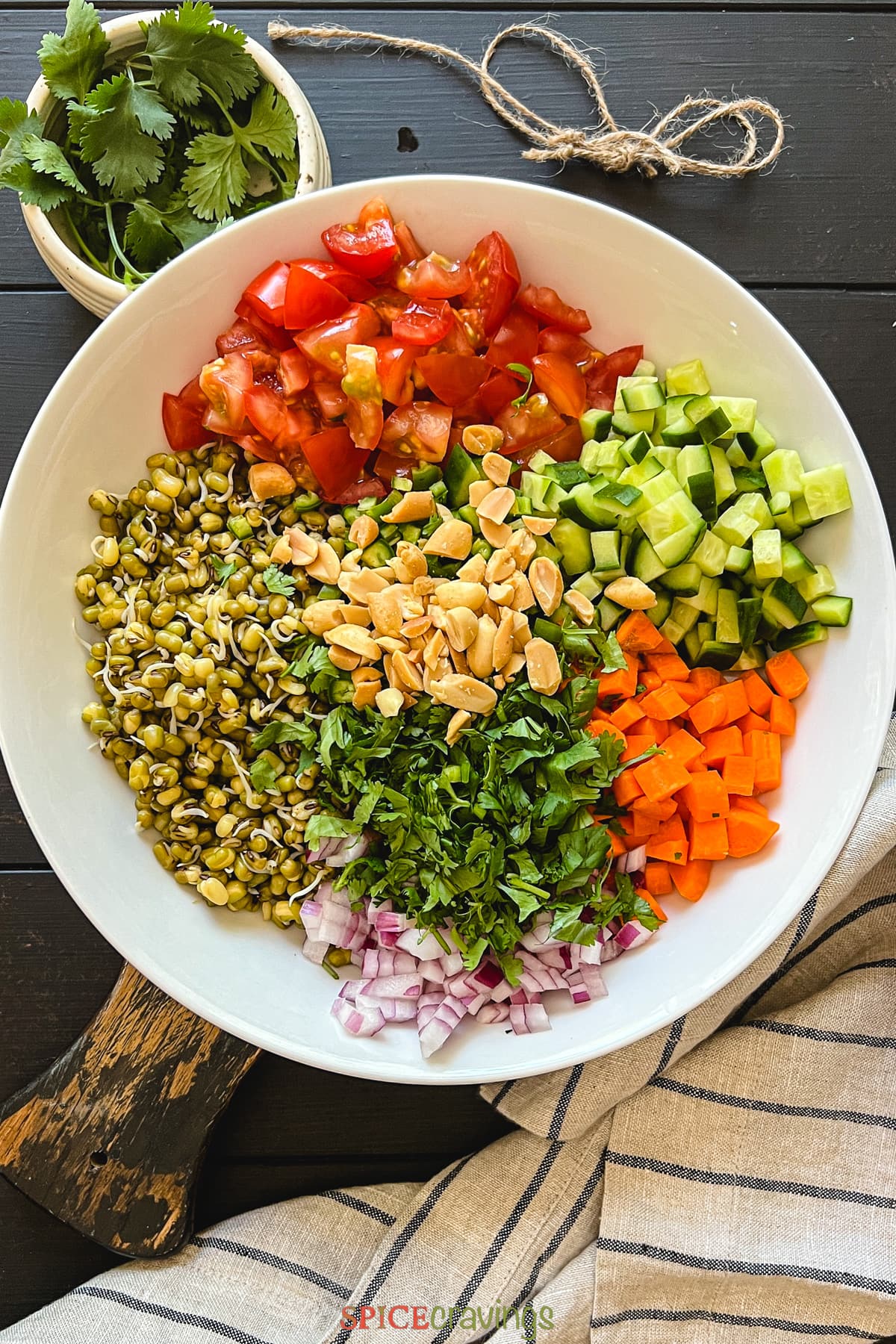 chopped vegetables and sprouted moong beans in large white bowl