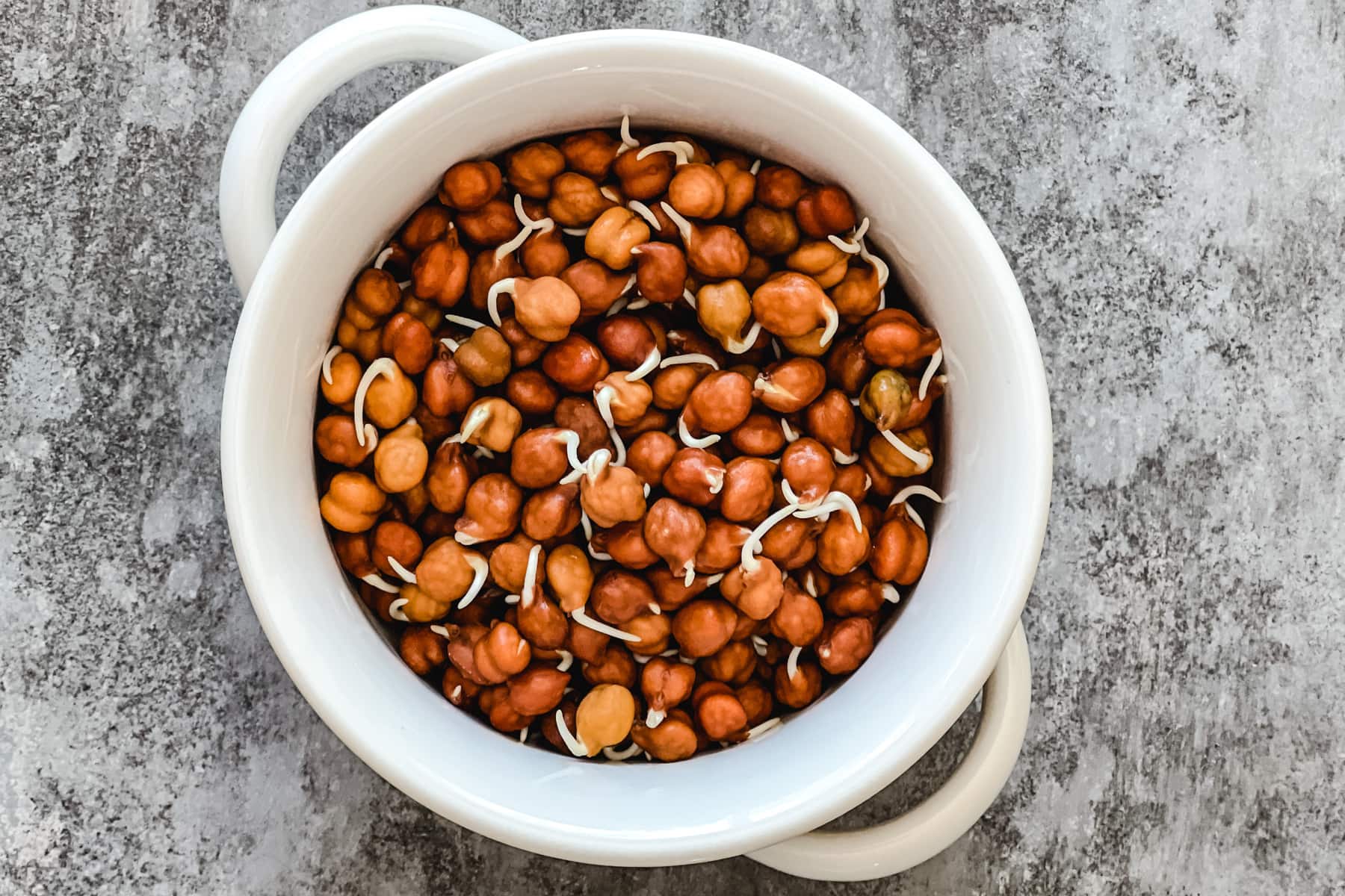 Sprouted black chickpeas in white bowl