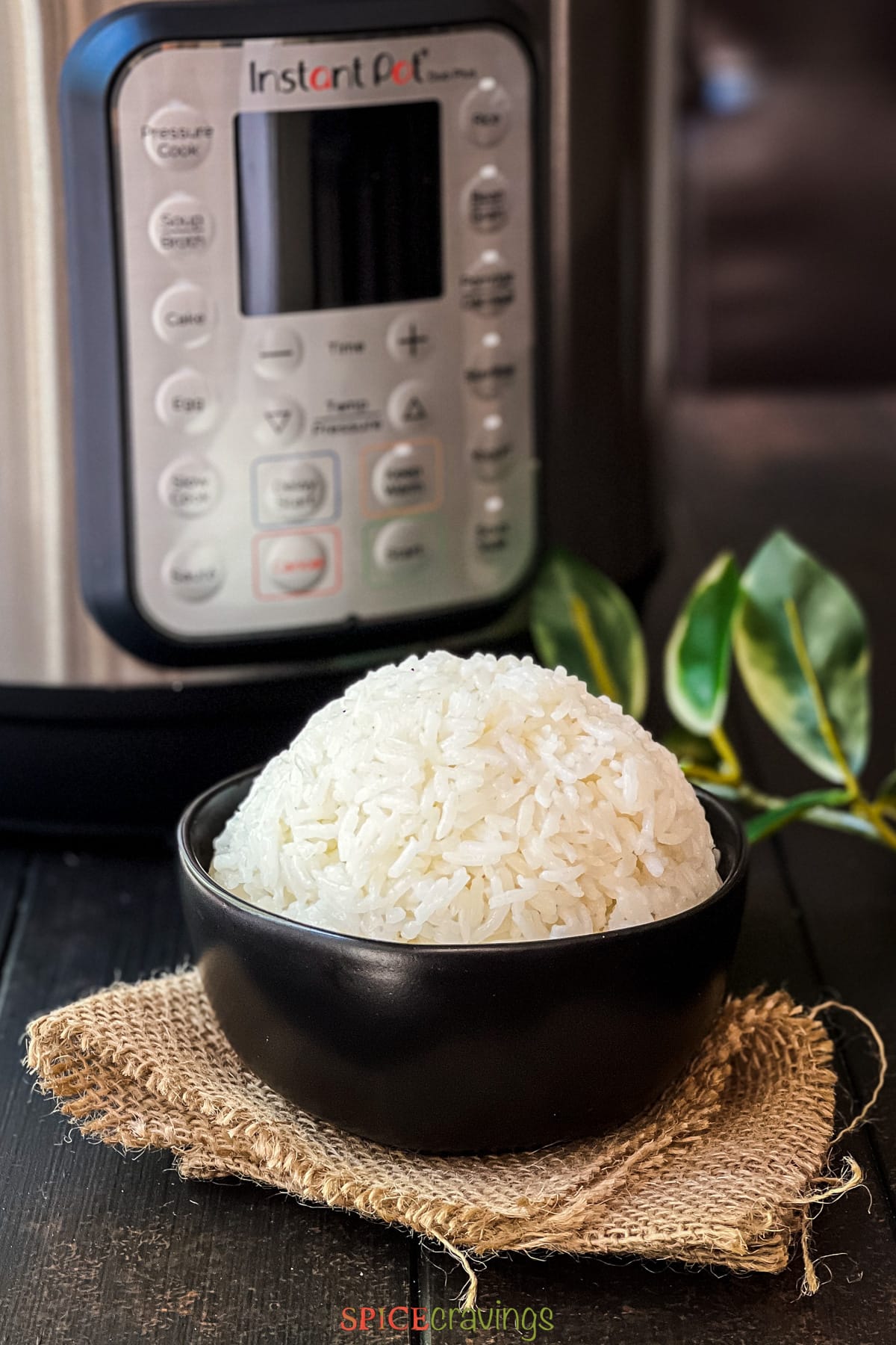 white jasmine rice in black bowl in front of Instant Pot