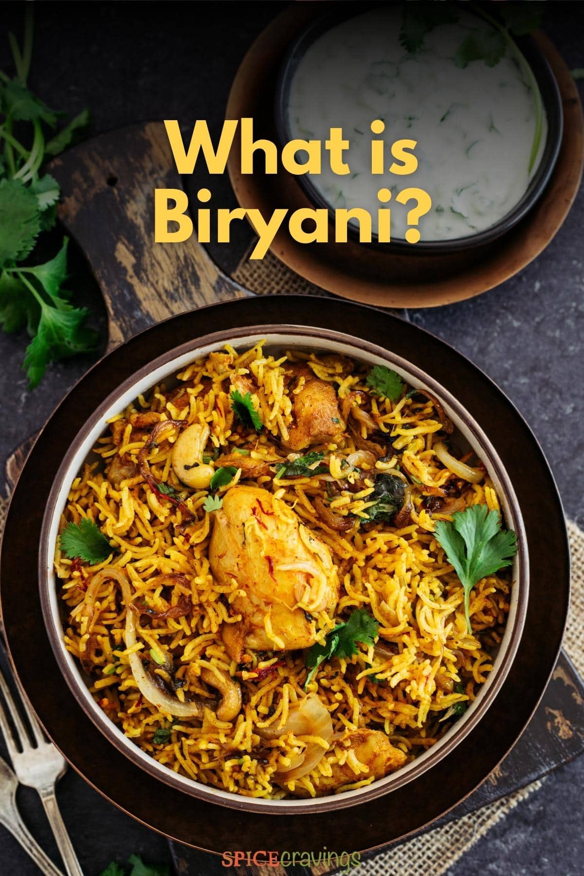 Bowl of chicken biryani with question: what is biryani?