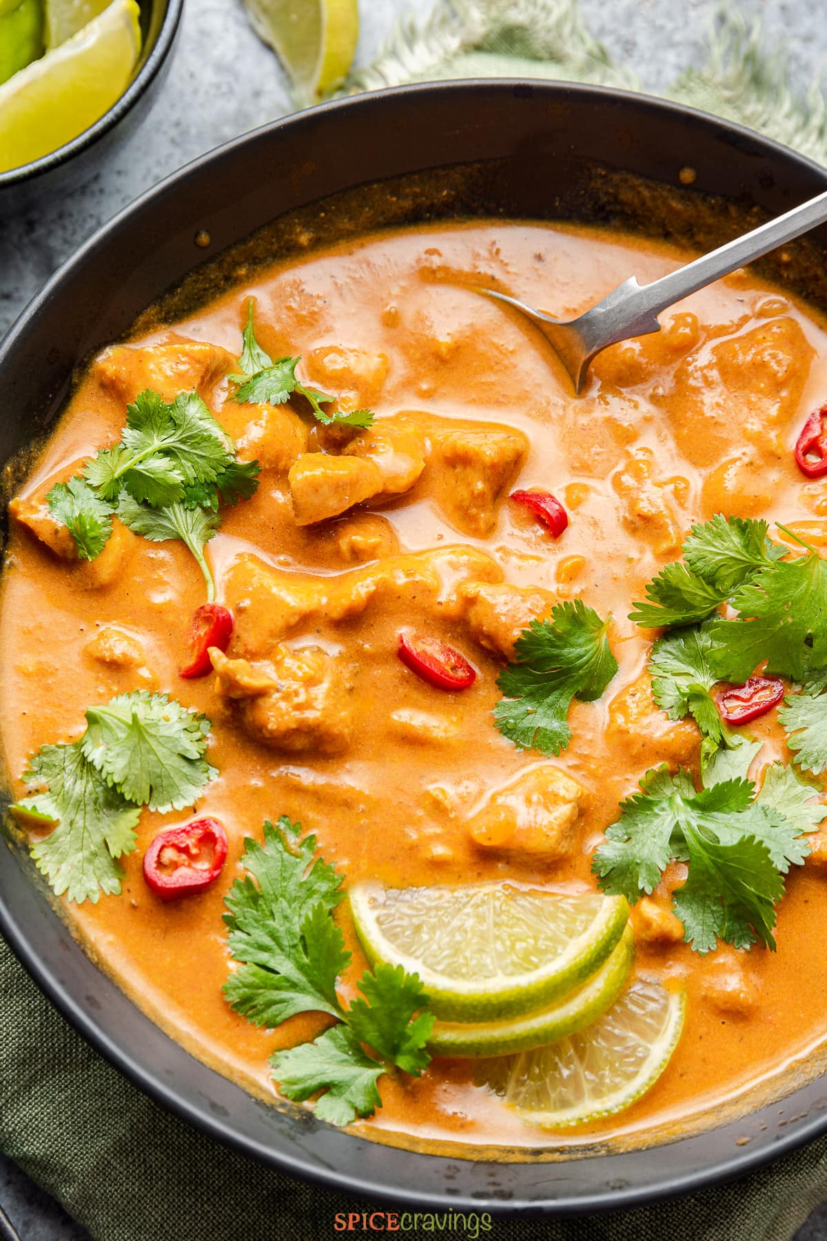 chicken curry with coconut milk in black bowl with spoon