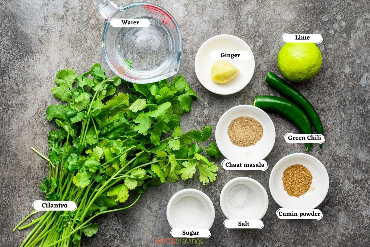 Fresh cilantro bunch, lime, ginger and spices among other ingredients on grey board