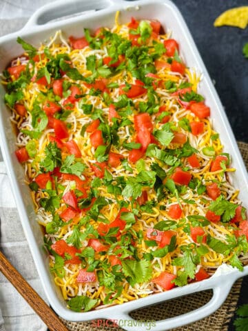 Chip loaded with Mexican dip topped with spring onion and cilantro