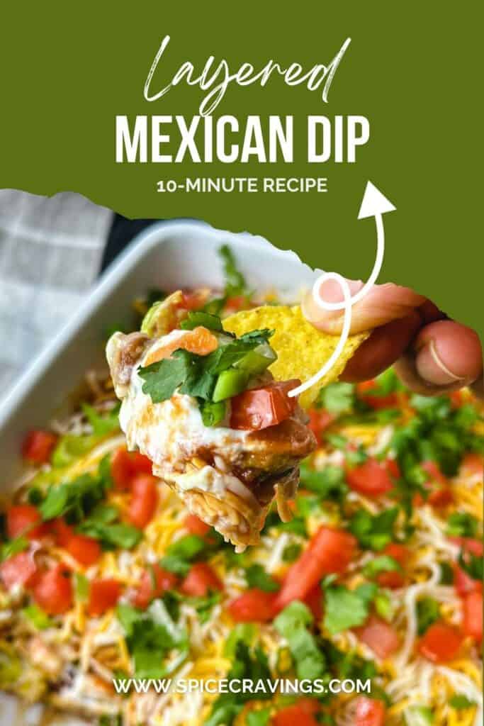 Chip loaded with Mexican dip topped with spring onion and cilantro