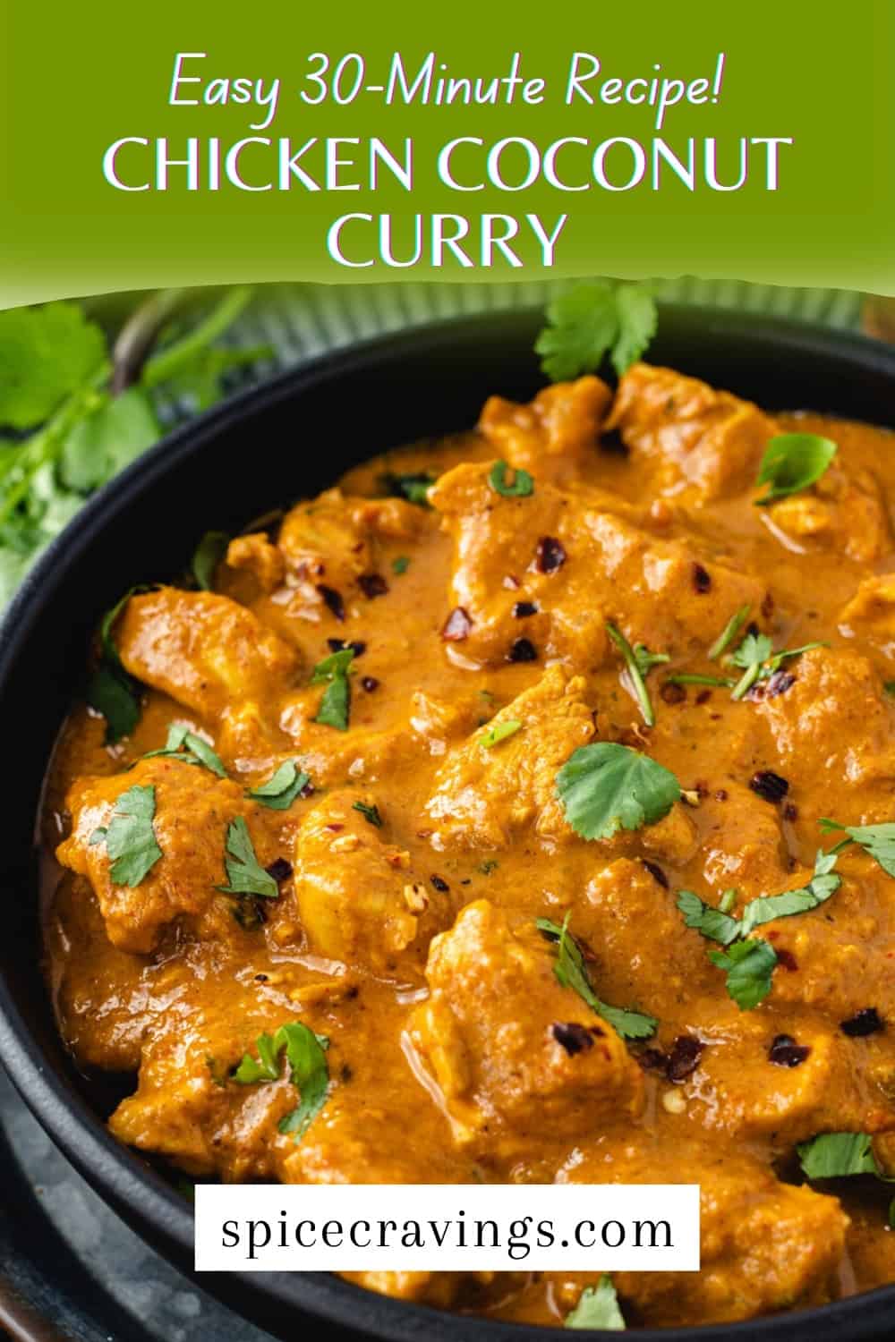 Chicken Curry With Coconut Milk | Spice Cravings