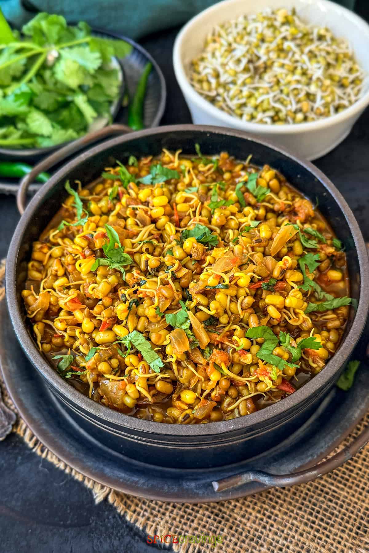 sprouts curry with green moong sprouts in a black bowl garnished with cilantro