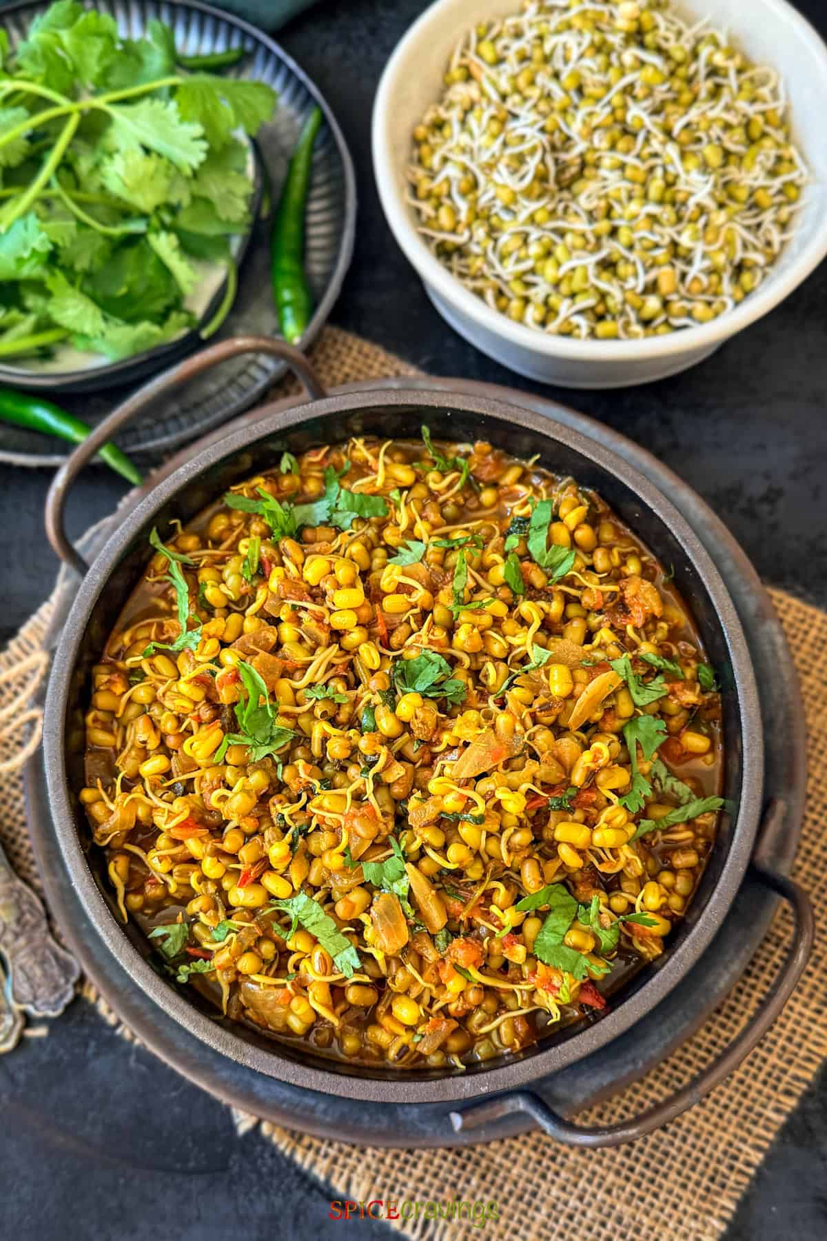 sprouts curry made with green moong sprouts in a black bowl garnished with cilantro
